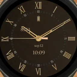 Vintage classy watch