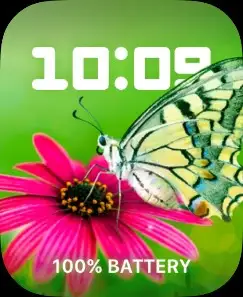 BUTTERFLY