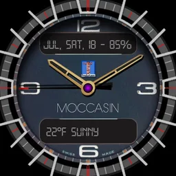 MOCCASIN – V