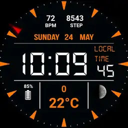 Orange watch Peter