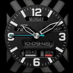 Snow Timer
