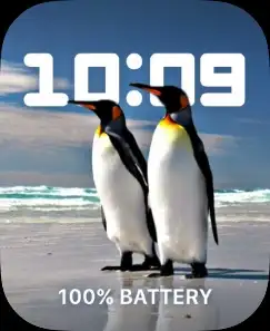 PENGUINS