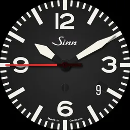 Sinn 856 red ish