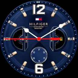 Hilfinger