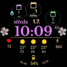 SsDigital weather