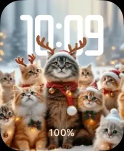 Christmas pets