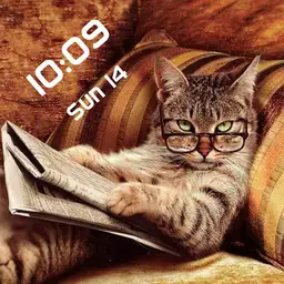 Cat with paper