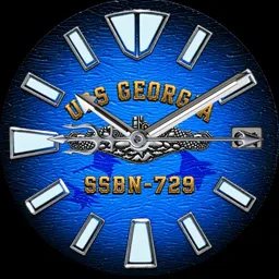 USS GEORGIA SeaRays