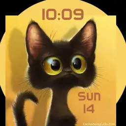 Surprised cat