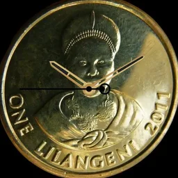 Brass-Plated Steel, Eswatini, 1 Lilangni, 2011