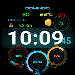 hom ticwatch