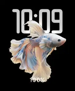 Fish swim