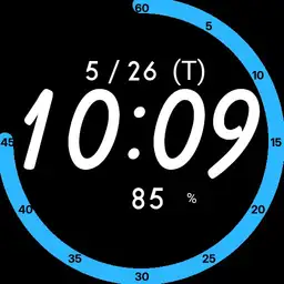 Untitled watch