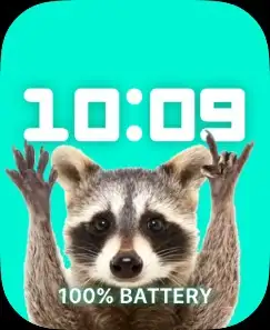 Raccoon