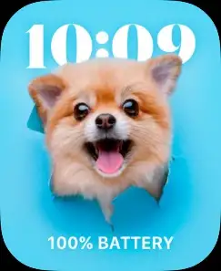 FUNNY DOG
