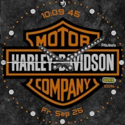 Harley watch