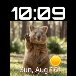 Waving Quokka