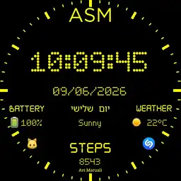 Digital watch