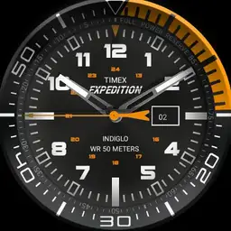 Timex Expedition Bezel or not