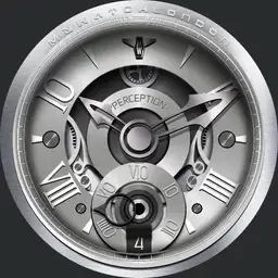 MYWATCH-PERCEPTION
