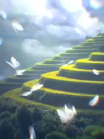 BUTTERFLIES IN THE MOUNTAINS