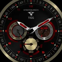 MYWATCH-TIGG