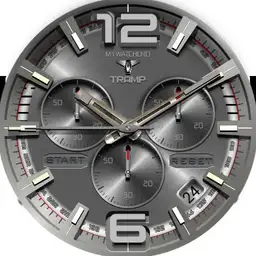 MYWATCH-TRAMP