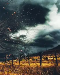STORM IN THE FIELD
