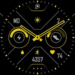 ACTIVE 29