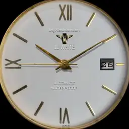 MyWatchJL White v2