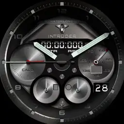 MYWATCH-INTRUDER