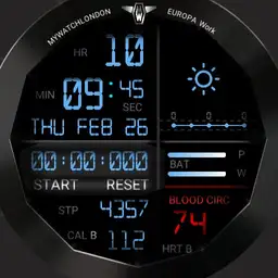 MYWATCH-EUROPA WORK