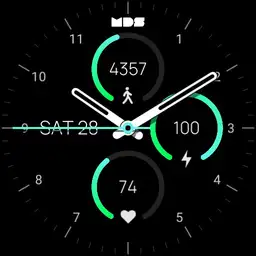 MDS409