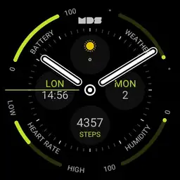 MDS418