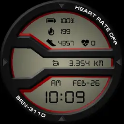 BRN-3110 Watch Face