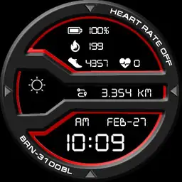 BRN-3100BL Watch Face