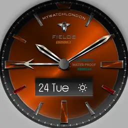 MYWATCH-FIELDS