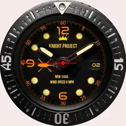 Knight Project 290