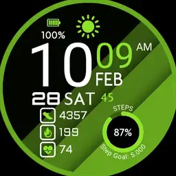 PRADO Fit v2 Watch Face