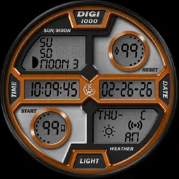 DIGI 1000 V1.3