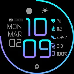 COLOR Fit Watch Face