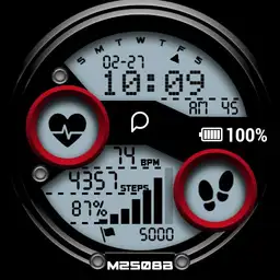 DIGITAL-M2508B