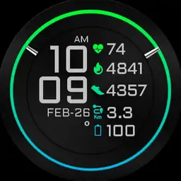 COLOR Fit 2 Watch Face