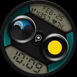 DIGITALIST Watch Face