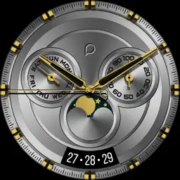 PLATINUM Watch Face