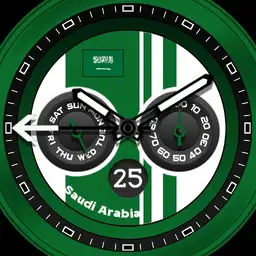 SAUDI ARABIA - WORLD CUP