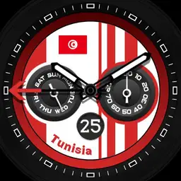 TUNISIA - WORLD CUP
