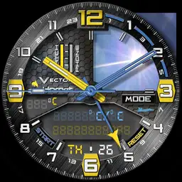 Vector Hornet rc