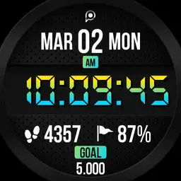BOLD 2 Watch Face