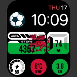 WALES - World Cup 2022